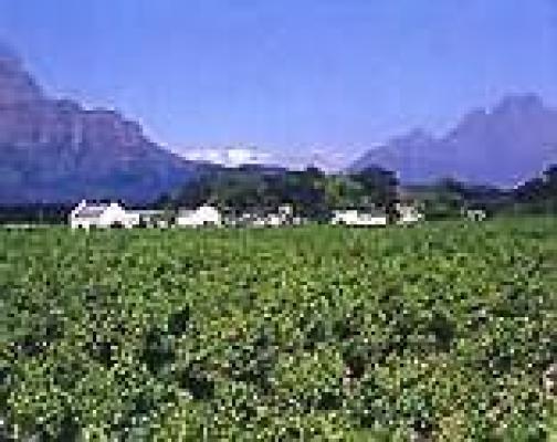 Franschhoek Wine Route