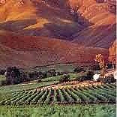 Franschhoek Wine Route