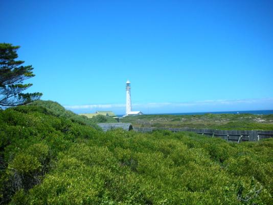 Table Mountain National Park