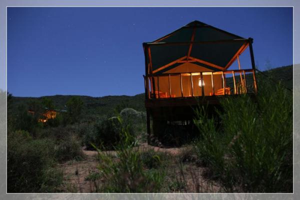 Tents at night