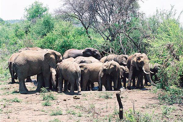 Motswiri Private Safari Lodge