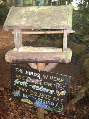 Butterfly World