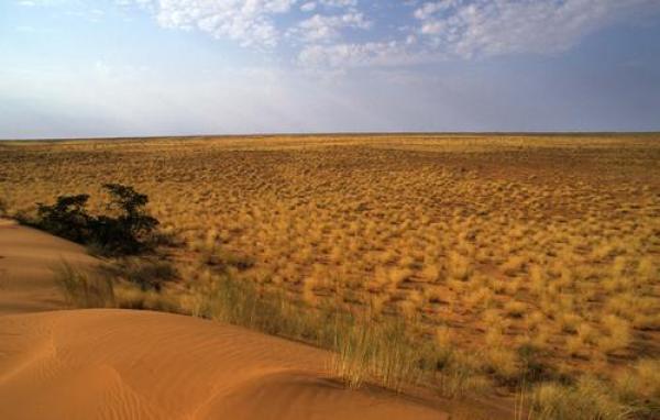 Kgalagadi Transfrontier Park