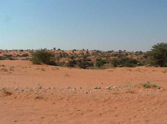 Kgalagadi Transfrontier Park