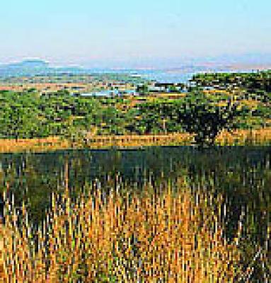 Spioenkop Nature Reserve