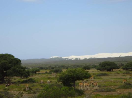 De Hoop Nature Reserve