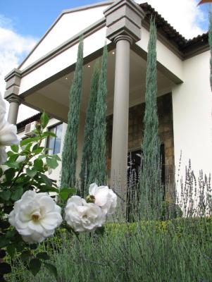 Constantia Manor Guesthouse