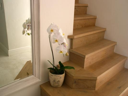 stairs leading from hallway