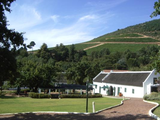 Cape Winelands