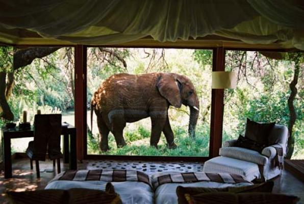 Makanyane Safari Lodge