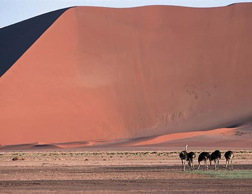 Kulala Desert Lodge