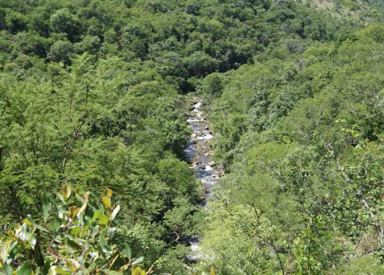 Rocky Drift Private Nature Reserve