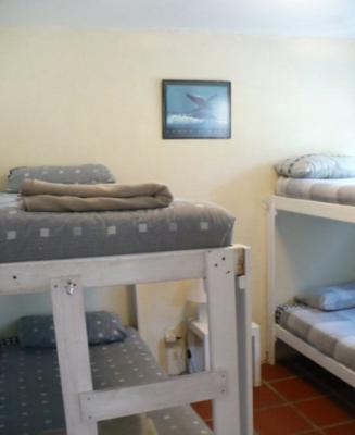 Bloukrans 4 bunk dorm, en-suite bathroom