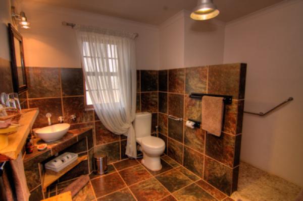En-suite Bathroom with walk-in shower, wheelchair friendly at Karoo View Cottages