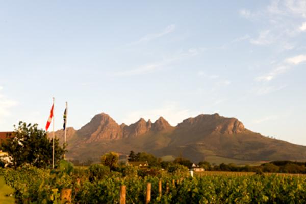 Our view of the Helderberg mountain.