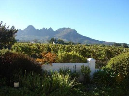 Lodge garden, vineyard and mountain views.