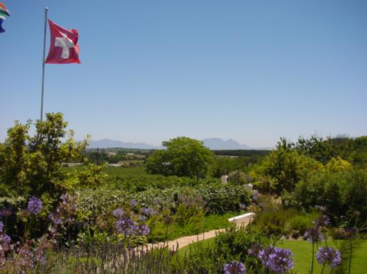 Lodge garden and vineyard views.