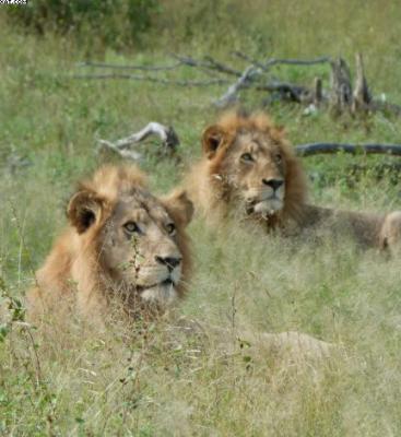 Olifants River Game Reserve