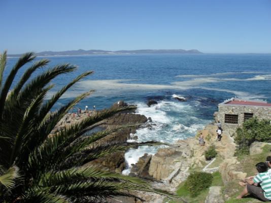 Hermanus