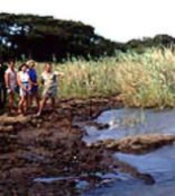 St Lucia Wilderness Trail