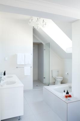 Family Room Bathroom