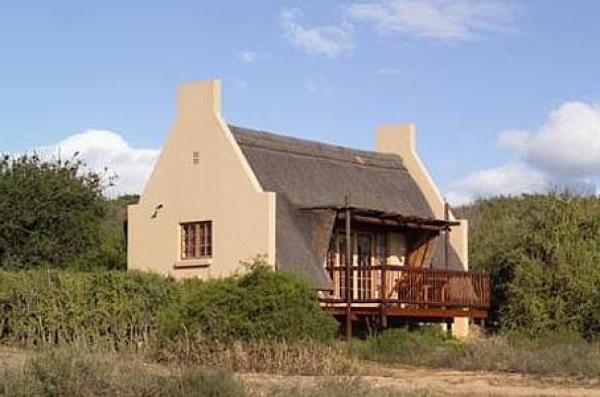 Addo Elephant Park