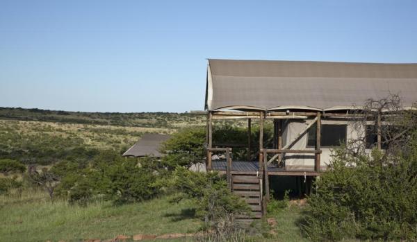 The Springbok Lodge