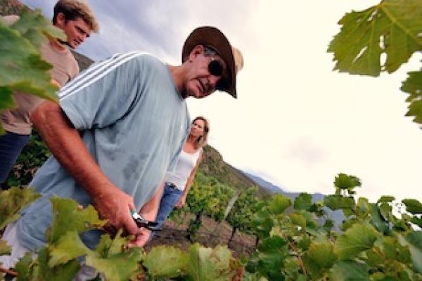 Harvesting