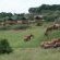 Addo Elephant Park