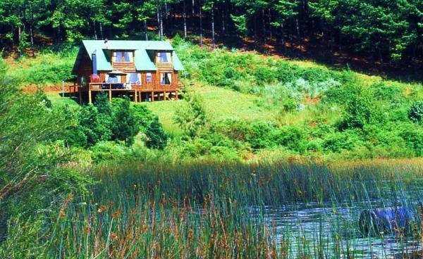 Double Storey Cabin