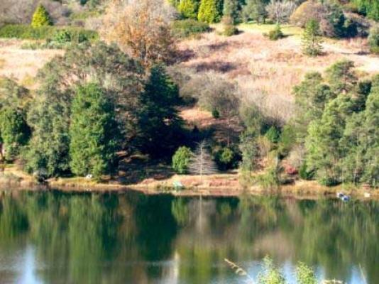 Stanford Lake - view across the lake