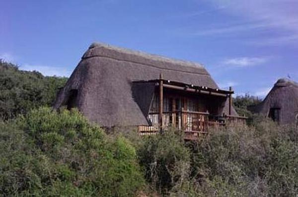 Addo Elephant Park