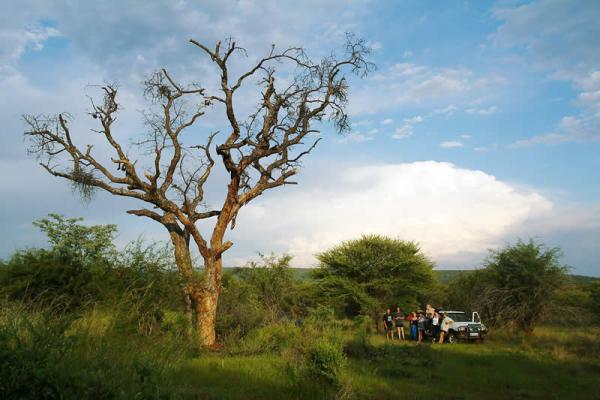 Nuanetzi Game Lodge