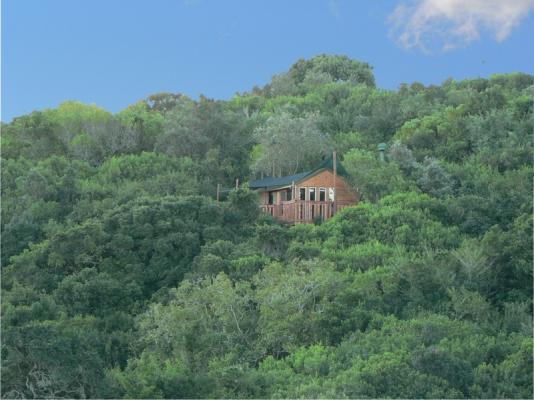 The tree houses are all far apart