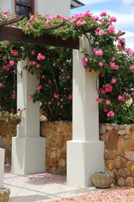 Pink Roses at the entrance door