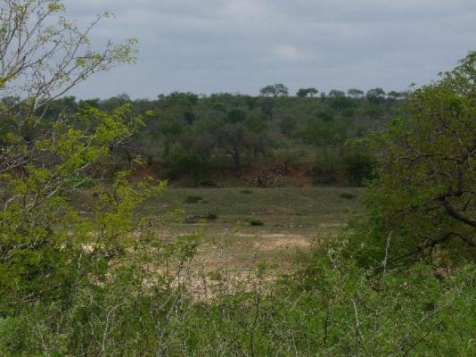 View into Kruger Park and Crocodile River