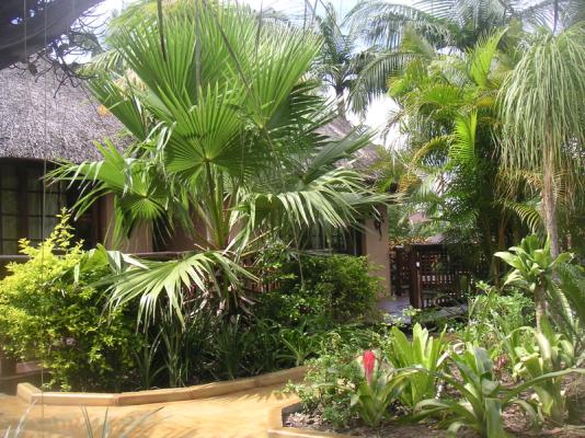 Chalet styled rooms in front garden 