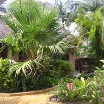 Chalet styled rooms in front garden 