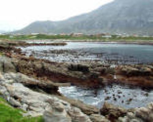 Betty's Bay