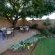 Garden Garden