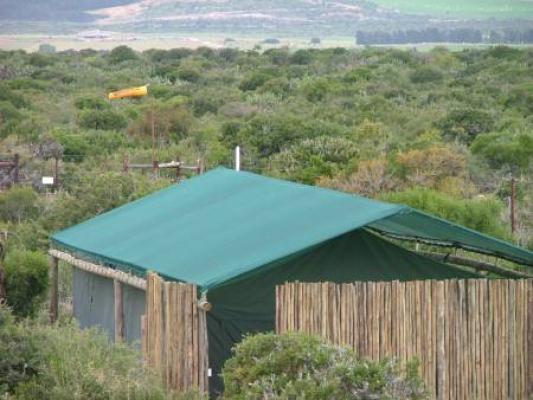 Kudu Ridge Game Ranch