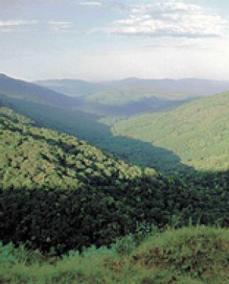 Magoebaskloof Hiking Trail