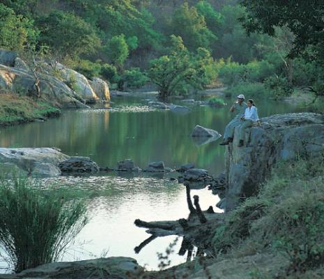 Makalali Private Game Lodge