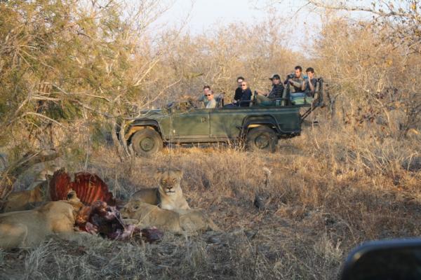 Shindzela Tented Camp