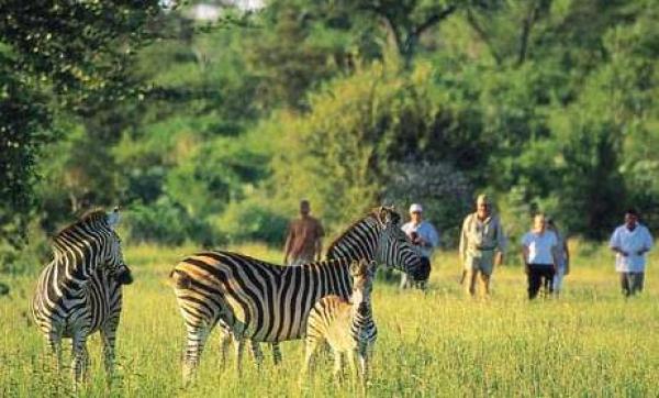 MalaMala Game Reserve