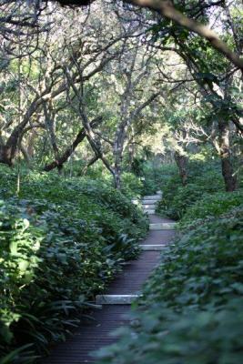 Indigenous Gardens