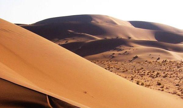 Namib Desert