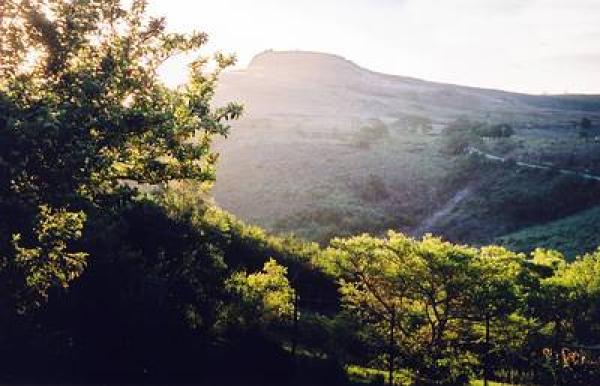 A Stone's Throw Bed and Breakfast