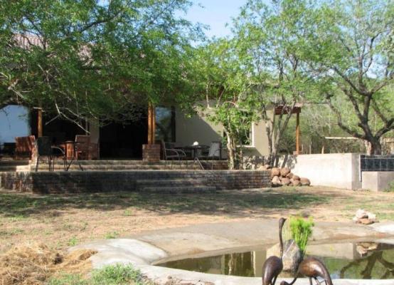 view of the patio from the waterhole