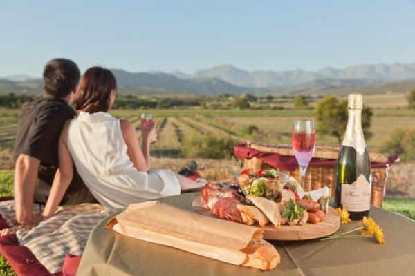 Picnic at Surval Boutique Olive Estate